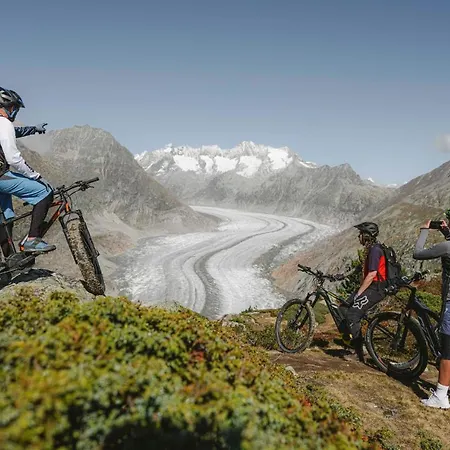 Sport Fiesch, Chalet Ahorn *