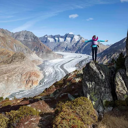 Lejlighed Sport Fiesch, Chalet Ahorn
